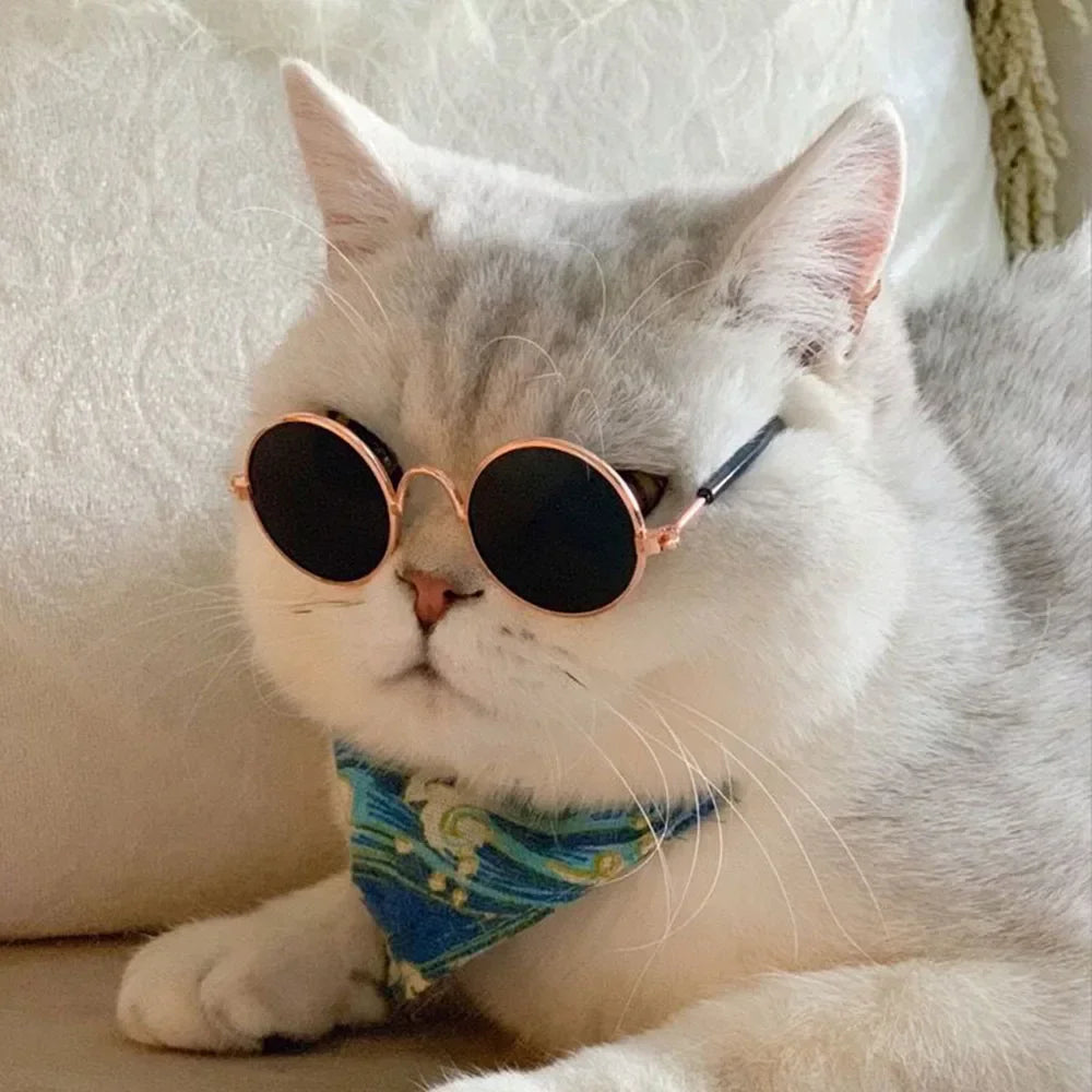 UV Protection Cat Sunglasses