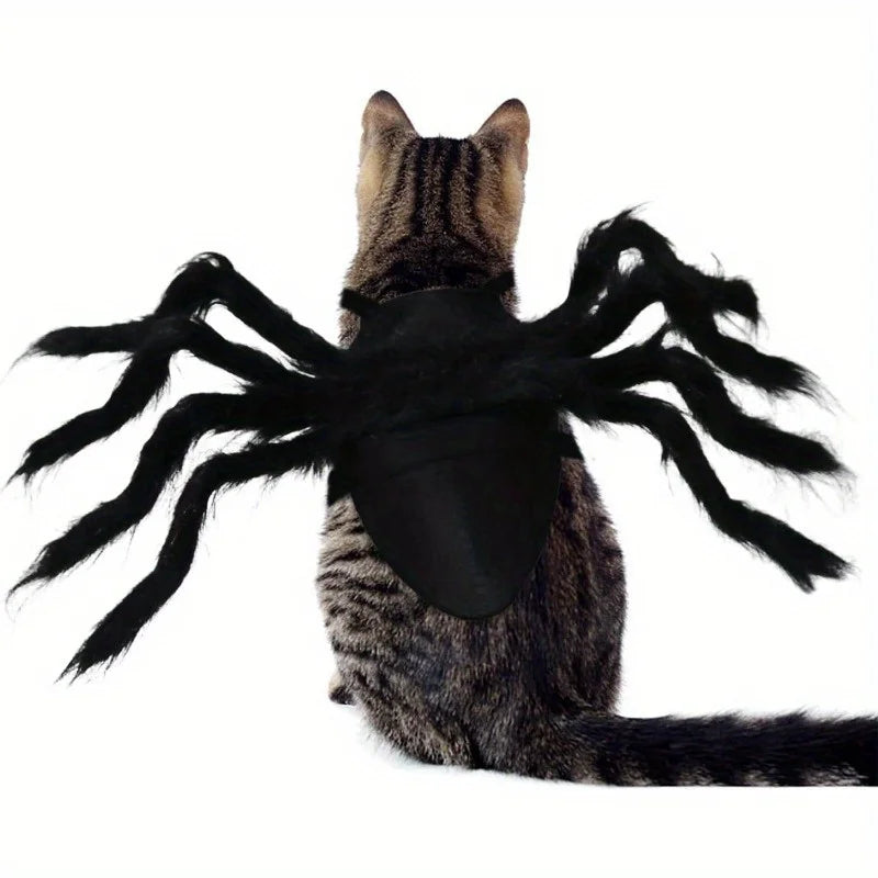 Halloween Cat Spider Costume