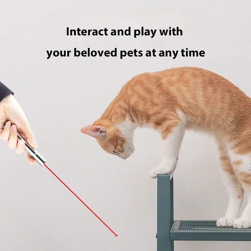 USB laser cat teaser toy