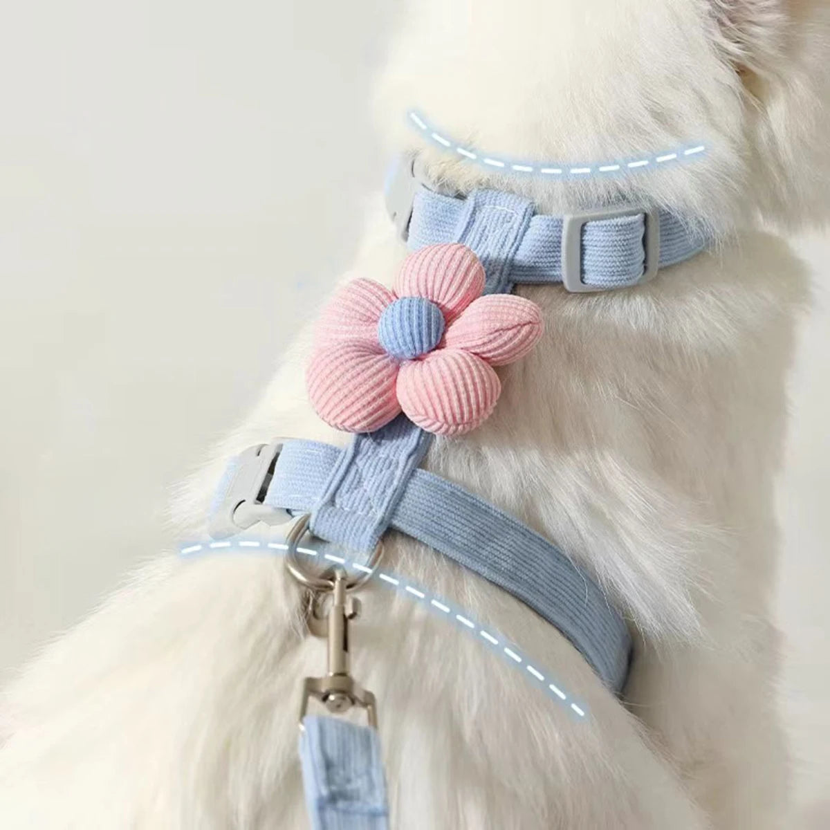 Adjustable Pet Harness Leash Set