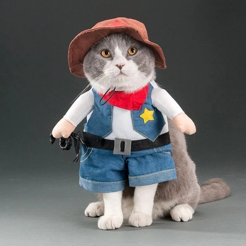 Halloween Funny Cat Clothes