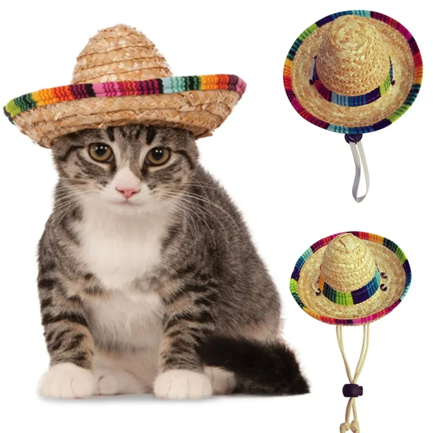 Cat Woven Straw Hat