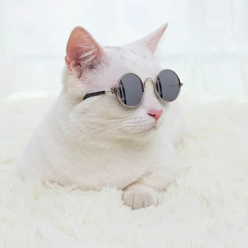 UV Protection Cat Sunglasses