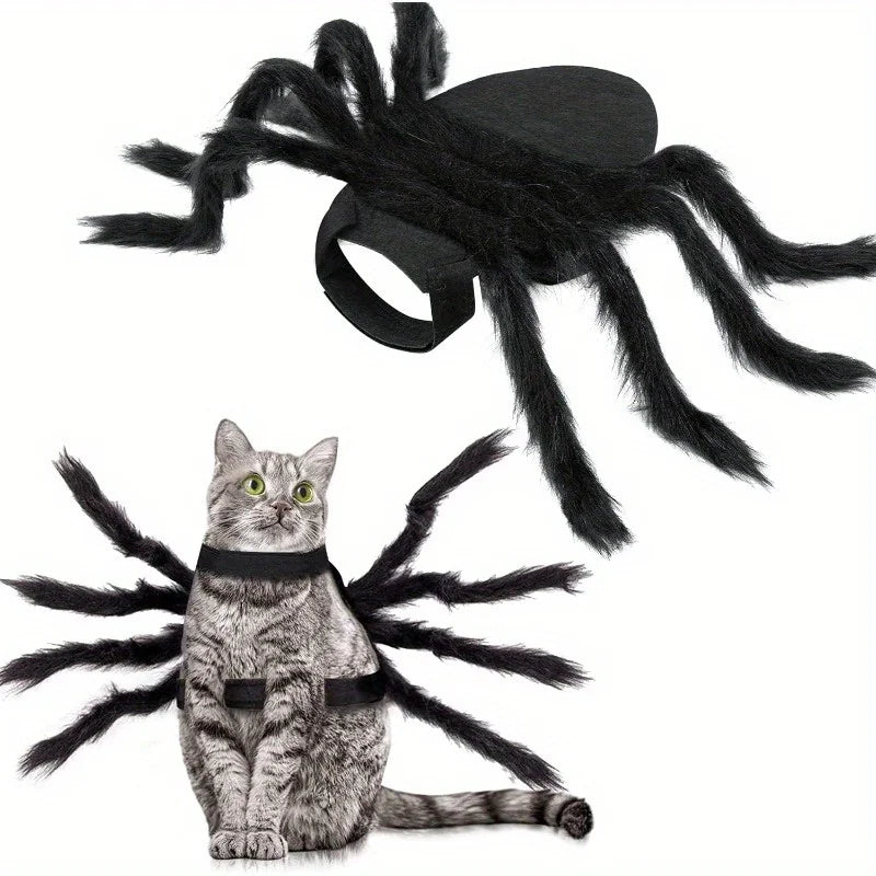Halloween Cat Spider Costume