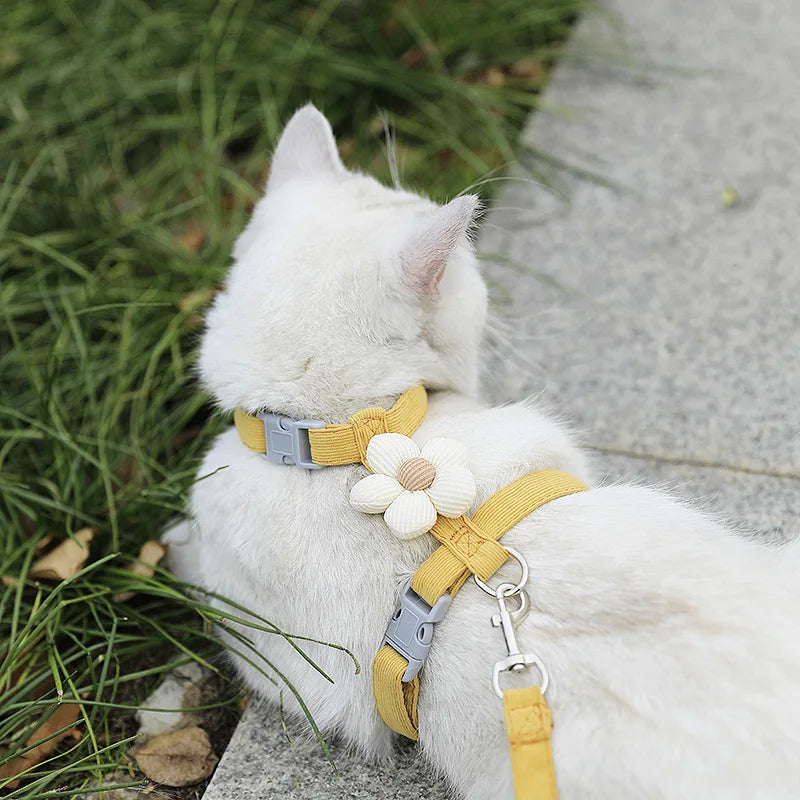 Adjustable Pet Harness Leash Set