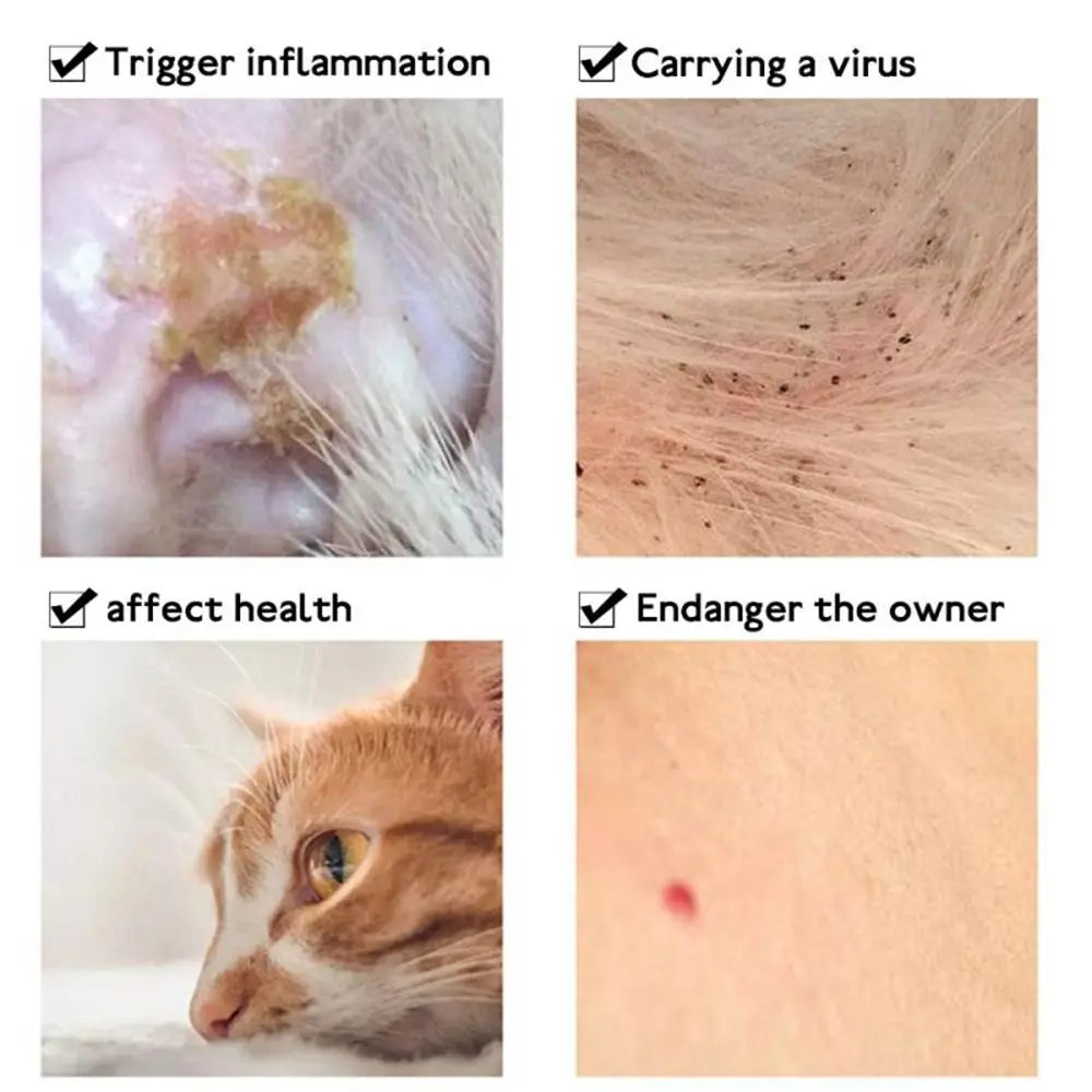 Mosquitoes Pet Collar