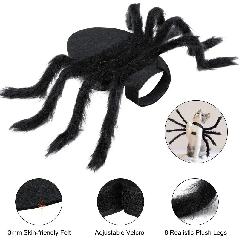 Halloween Cat Spider Costume