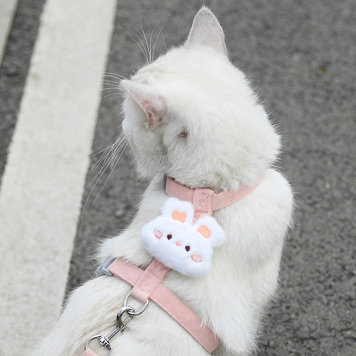 Adjustable Pet Harness Leash Set