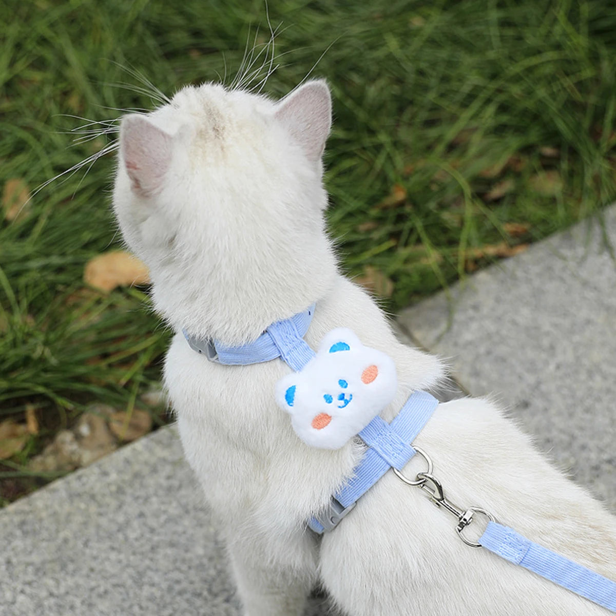 Adjustable Pet Harness Leash Set