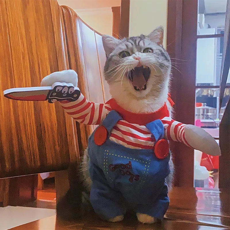 Cat Halloween Cosplay Outfit