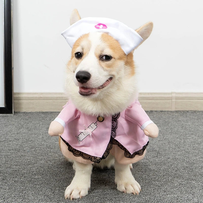 Halloween Funny Cat Clothes