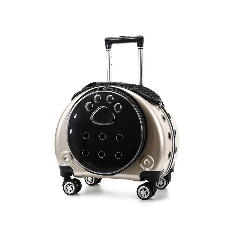 Transparent Space Cat Travel Capsule