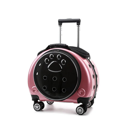 Transparent Space Cat Travel Capsule
