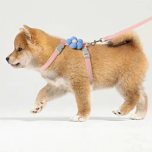Adjustable Pet Harness Leash Set