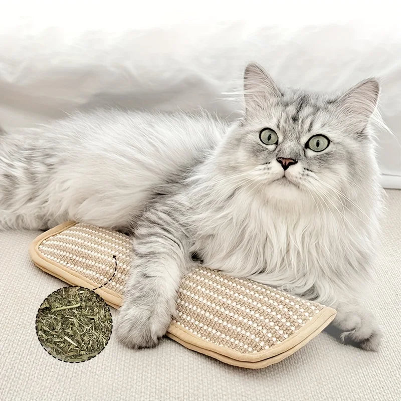 Catnip Chew Toy