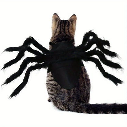 Halloween Cat Spider Costume