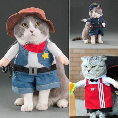 Halloween Cat costumes