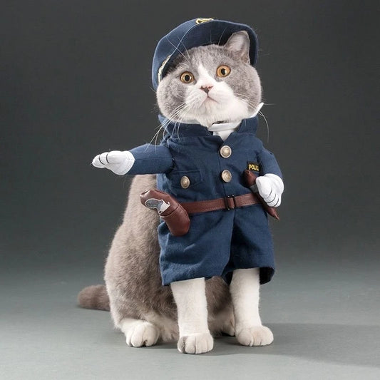 Halloween Funny Cat Clothes