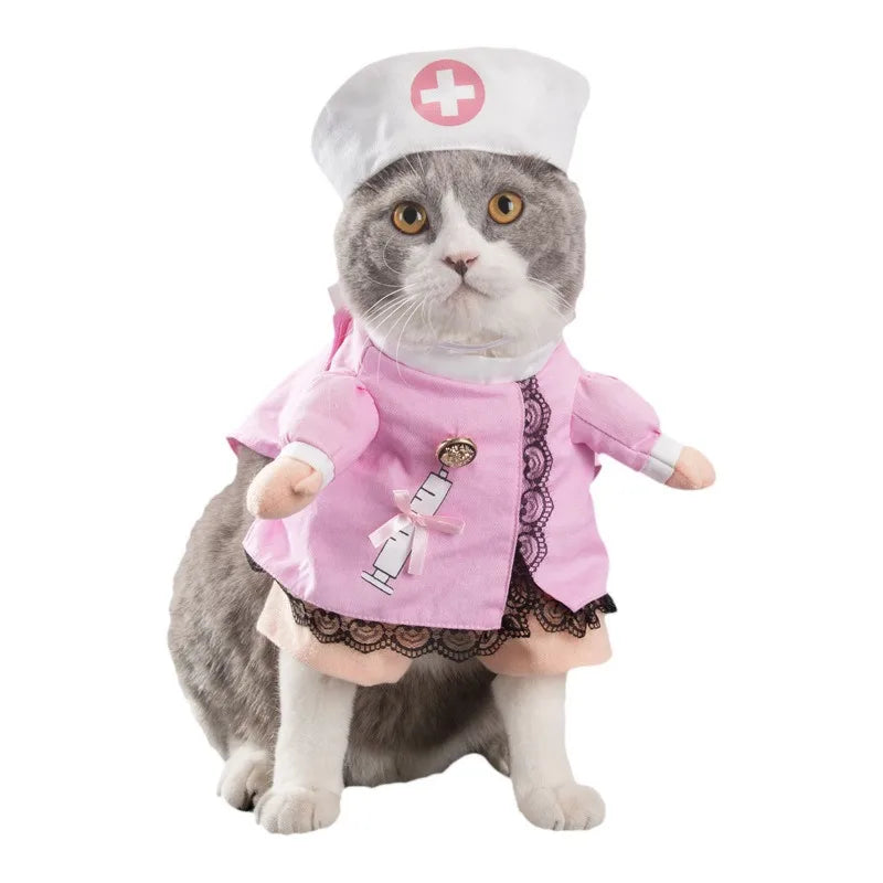 Halloween Cat costumes