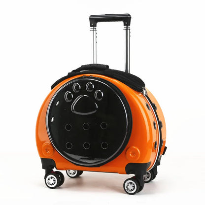 Transparent Space Cat Travel Capsule