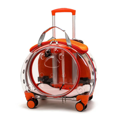 Transparent Space Cat Travel Capsule
