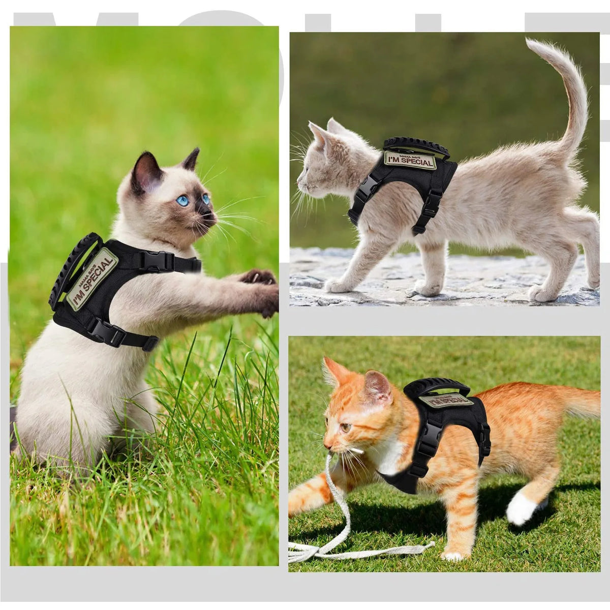 600D Cat Tactical Vest Pet Chest Strap – Kitty Cat Toys
