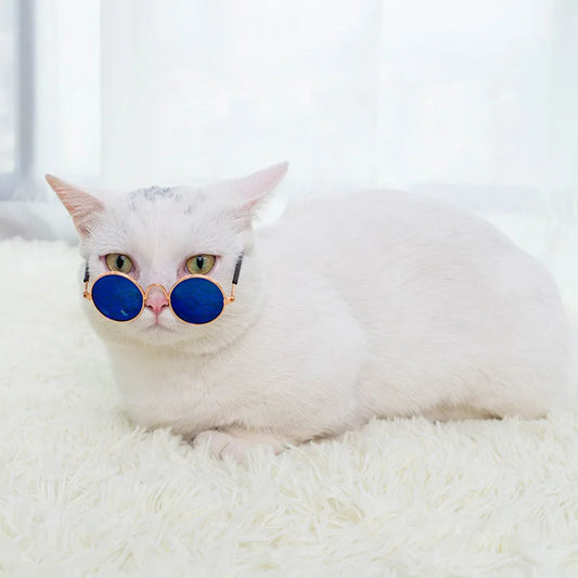 UV Protection Cat Sunglasses