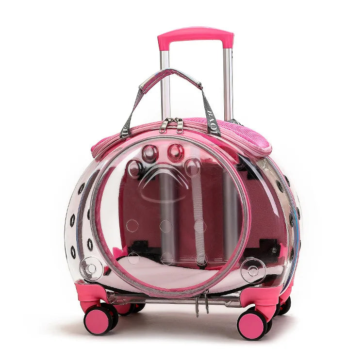 Transparent Space Cat Travel Capsule