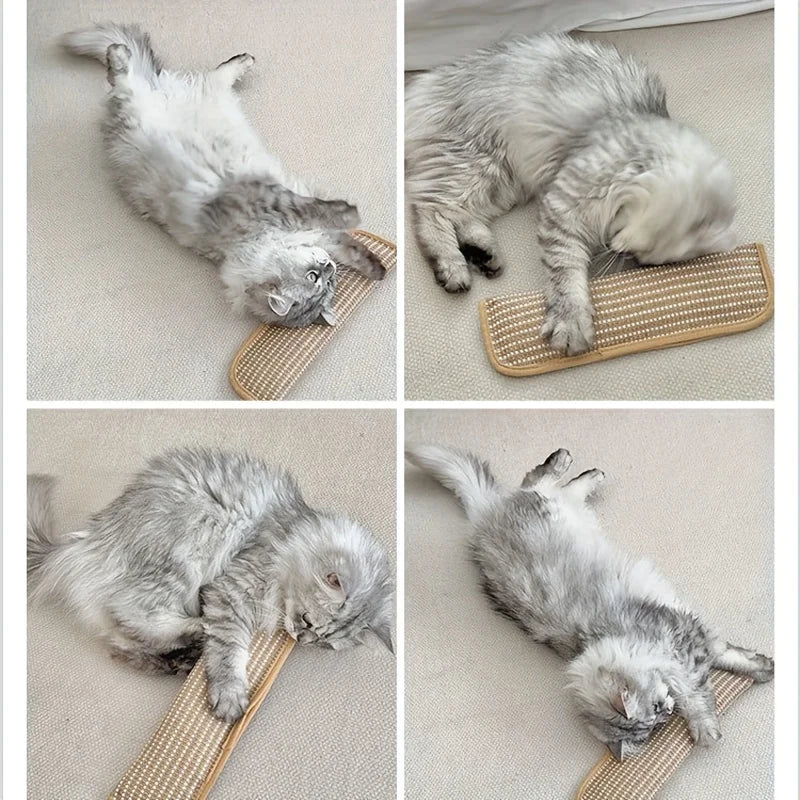Catnip Chew Toy
