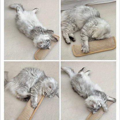Catnip Chew Toy