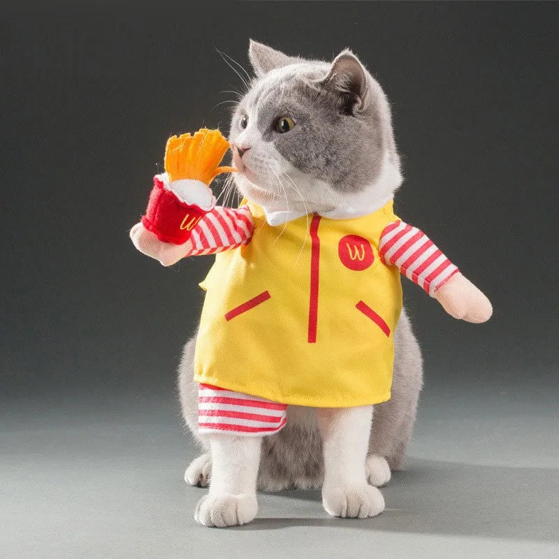 Halloween Cat costumes