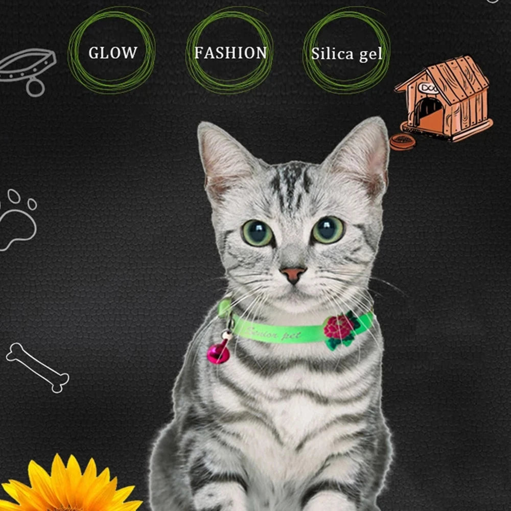 Small Dog Cat Collar