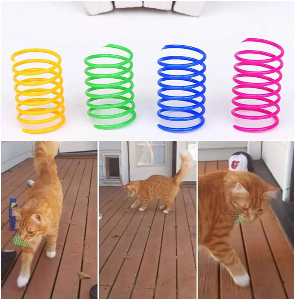Cat Indoor Spiral Toy