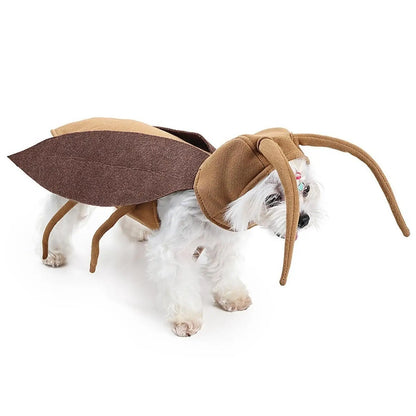 Halloween Costume for Cats