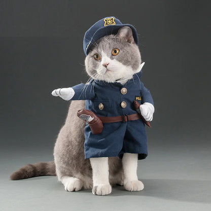 Halloween Cat costumes