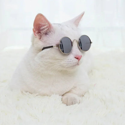 UV Protection Cat Sunglasses