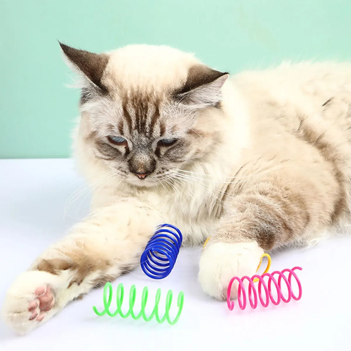 Cat Indoor Spiral Toy