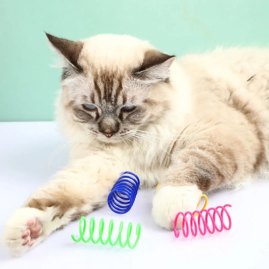 Cat Indoor Spiral Toy