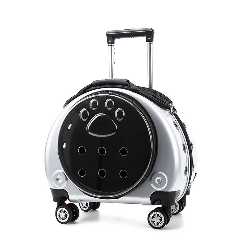 Transparent Space Cat Travel Capsule