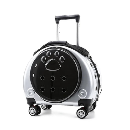 Transparent Space Cat Travel Capsule