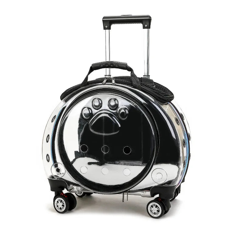 Transparent Space Cat Travel Capsule