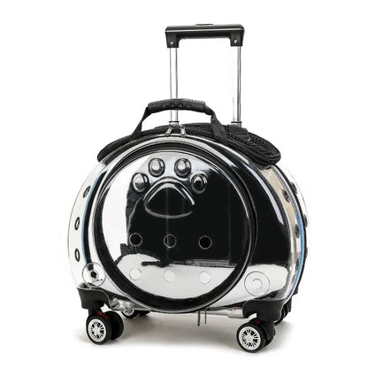Transparent Space Cat Travel Capsule
