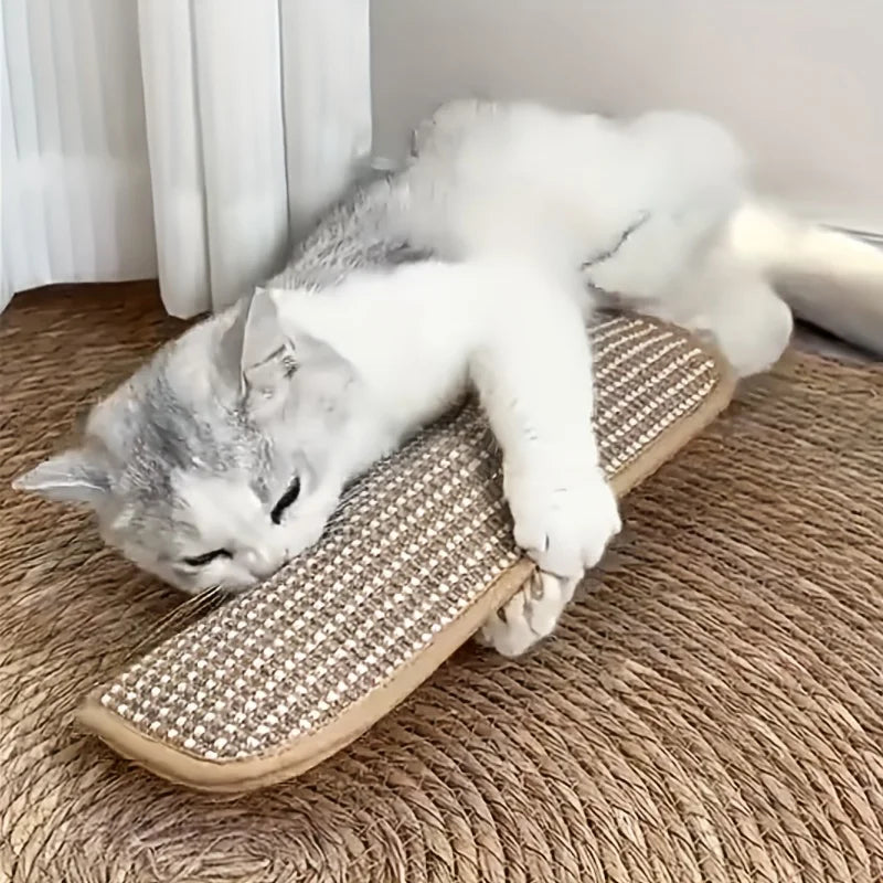Catnip Chew Toy