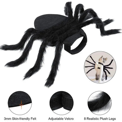 Halloween Cat Spider Costume