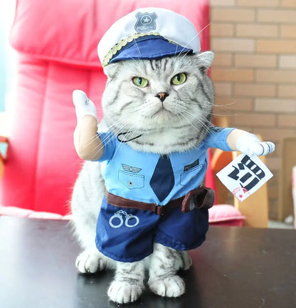 Halloween Cat costumes