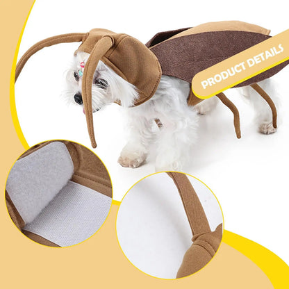 Halloween Costume for Cats