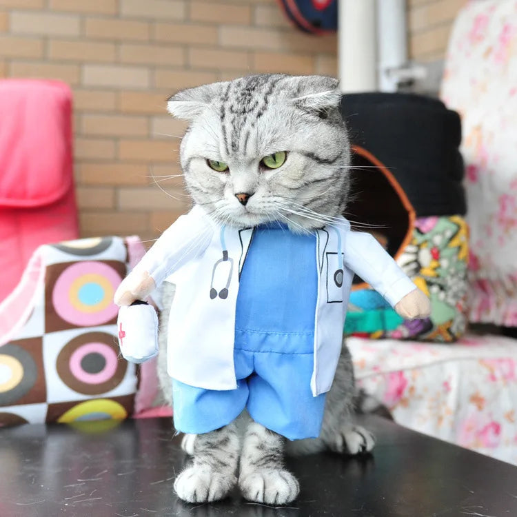 Halloween Cat costumes