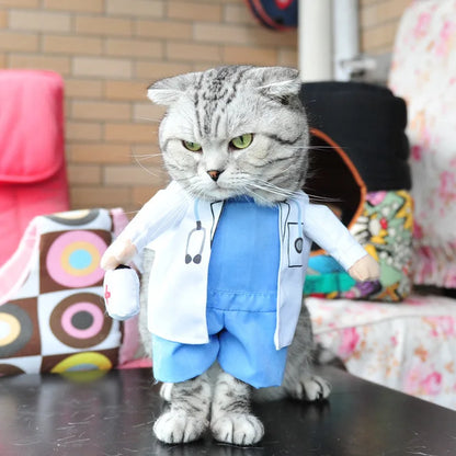 Halloween Cat costumes