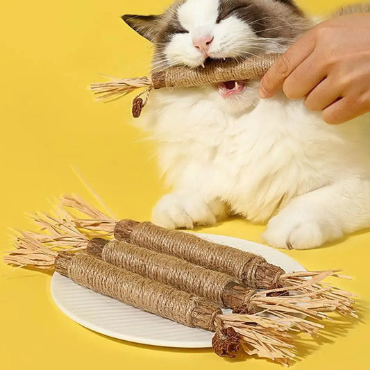 Cleaning Tooth Catnip Toy