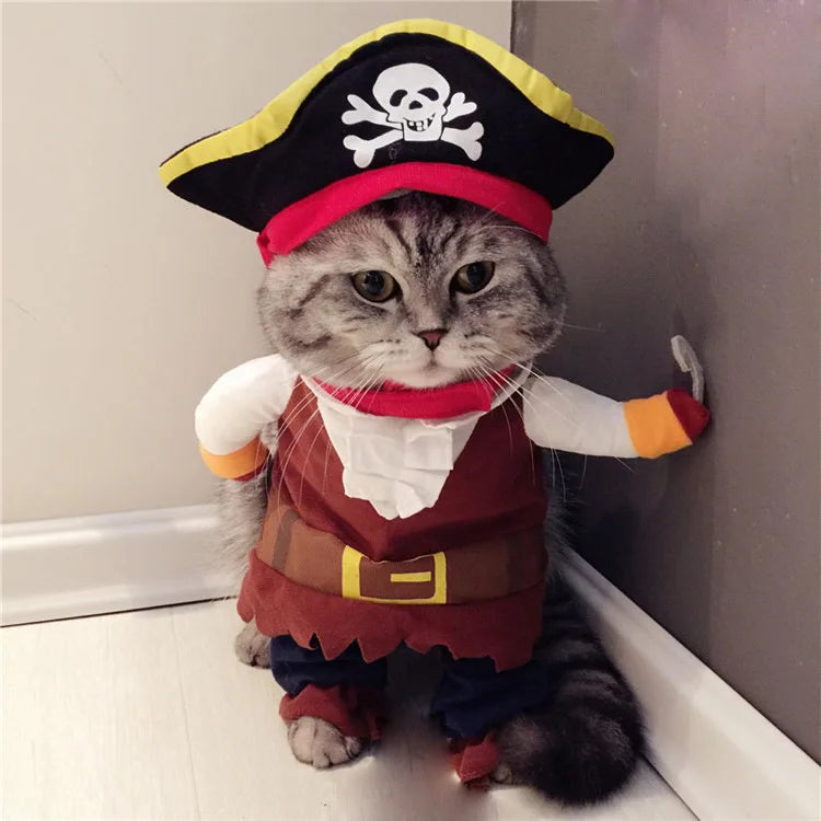 Halloween Cat costumes